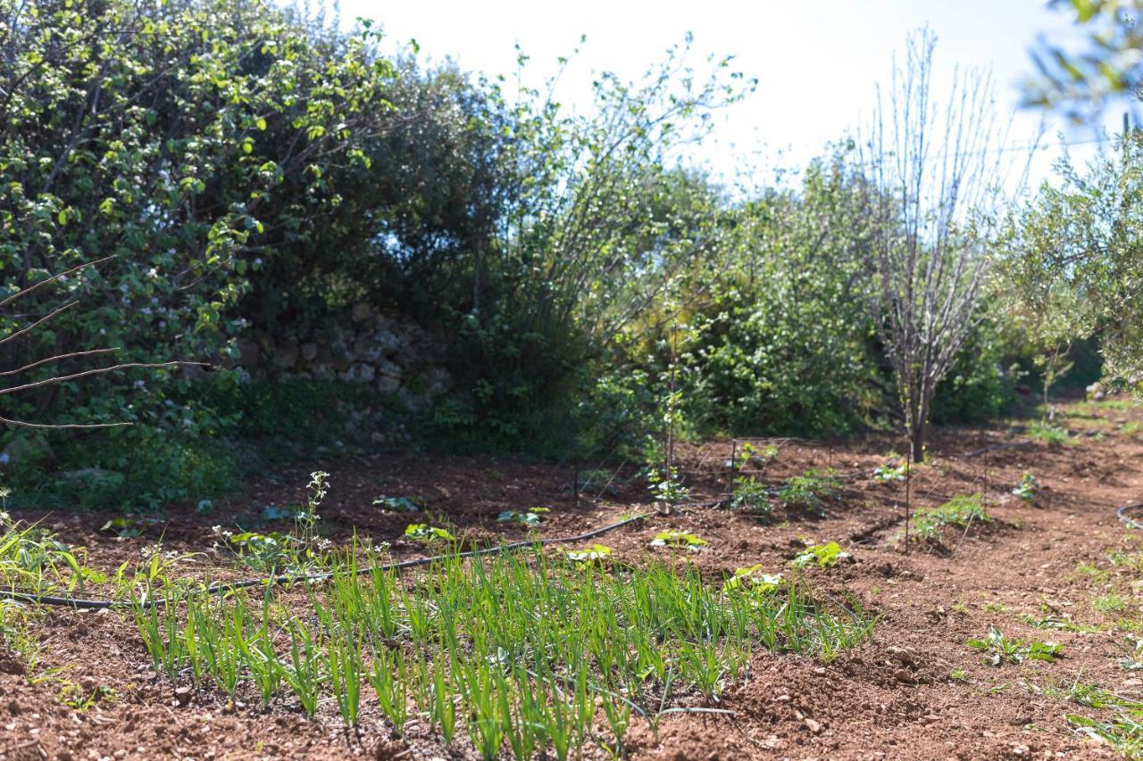 Eden'S Garden Skouloufia Villa Exterior foto